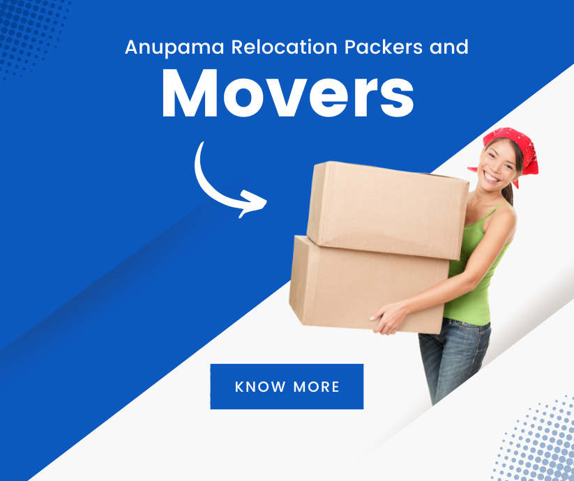 About Anupama Packers